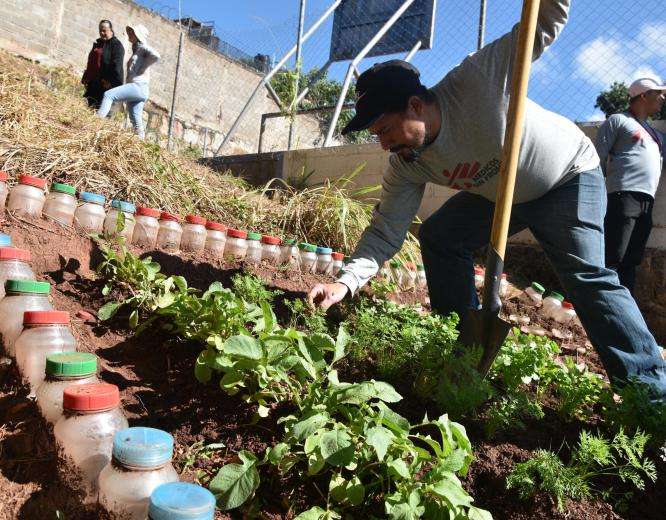 Garden Cleaning